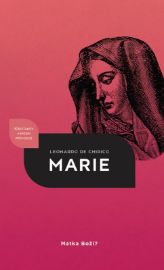 Marie - Matka Boží?