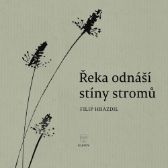 Řeka odnáší stíny stromů