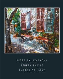 Střepy světla