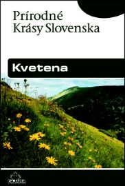 Kvetena