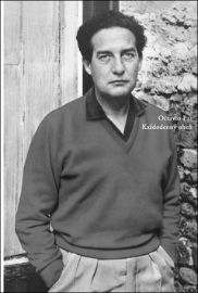 Octavio Paz Každodenný oheň