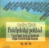 Prácheňský poklad III.