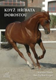 Když hříbata dorostou - Dalibor Gregor,Stanislav Hošák - Chovatelství Když hříbata dorostou