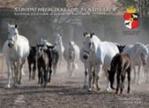 Národní hřebčín Kladruby nad Labem - National Stud Farm at Kladruby nad Labem