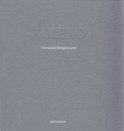 Koleno