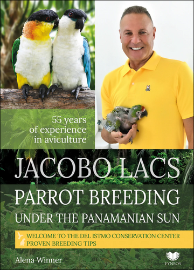 Parrot breeding unter the Panamanian Sun