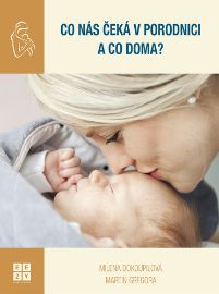 Co nás čeká v porodnici a co doma? - Milena Dokoupilová,Martin Gregora - Péče o dítě Co nás čeká v porodnici a co doma?