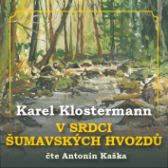 Karel Klostermann - V srdci šumavských hvozdů