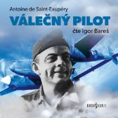 Válečný pilot