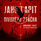 Jako lapit divokého ptáčka - Fantasy a sci-fi Jako lapit divokého ptáčka