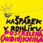 Postřelená (audio)kniha