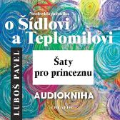 Neobvyklá pohádka o Šídlovi a Teplomilovi – šaty pro princeznu