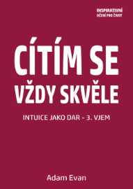 Cítím se vždy skvěle, Intuice jako dar 3. Vjem