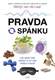 Pravda o spánku - Kariéra Pravda o spánku