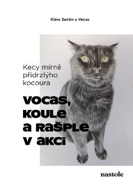 Kecy mírně přidrzlýho kocoura - Humor, satira a komedie Kecy mírně přidrzlýho kocoura