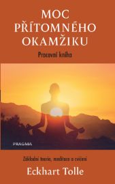 Moc přítomného okamžiku – pracovní kniha