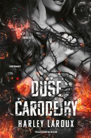 Duše čarodějky - Fantasy Duše čarodějky