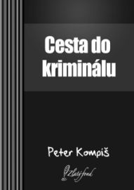 Cesta do kriminálu