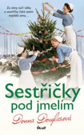 Nemocnice Nightingale 7: Sestřičky pod jmelím