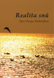 Realita snů