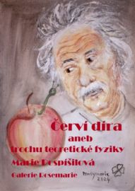 Červí díra aneb trochu teoretické fyziky