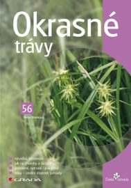 Okrasné trávy - Domov, zahrada Okrasné trávy