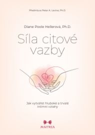 Síla citové vazby - Motivace Síla citové vazby