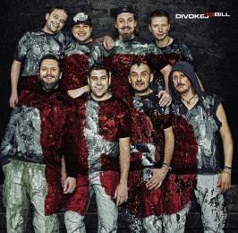 Divokej Bill 15 - LP