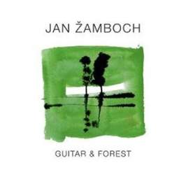 Guitar & Forest - LP