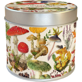 Vonná svíčka v plechové dóze Mushroom Forest