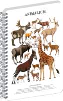 Spirálový blok Animalium - Sudokopytníci, čistý, A4