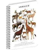 Spirálový blok Animalium - Sudokopytníci, čistý, A5