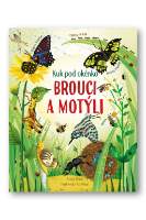 Brouci a motýli - Kuk pod okénko