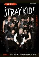 Příběh Stray Kids - Neautorizovaný průvodce