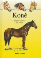Koně