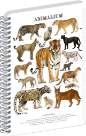 Spirálový blok Animalium - Kočkovité šelmy, čtverečkovaný, A5