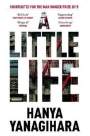 A Little Life