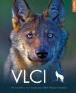 Vlci - Na toulkách s fotografem zvířat Axelem Gomillem