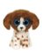 Beanie Boos MUDDLES - Pes vícebarevný 15 cm