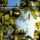 Classics for breakfast CD