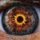 LP Breaking Benjamin - Ember LP Breaking Benjamin - Ember