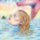 CD Paris Paloma - Cacophony CD Paris Paloma - Cacophony