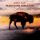 LP Robert Plant, Suzi Dian - Saving Grace