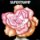 CD SUPERTRAMP CD SUPERTRAMP