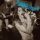 CD Soundgarden - Screaming Life - Fopp CD Soundgarden - Screaming Life - Fopp