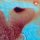 LP Pink Floyd - Meddle (Orange Vinyl) LP Pink Floyd - Meddle (Orange Vinyl)