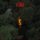 LP LA ROUX - Old Flames LP LA ROUX - Old Flames