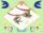 DJ00011 Bird Ribbons DJ00011 Bird Ribbons