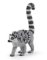 Lemur a mládě Lemur a mládě