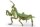 Kudlanka nábožná - figurka Papo 50244 Kudlanka nábožná - figurka Papo 50244